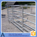 hot sales tall horse entrance panel